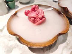 功夫南师布丁（蔓越莓、鲜奶两种）-潮堂 · 潮州菜(国贸商城店)
