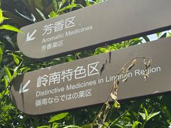 -广州神农草堂中医药博物馆