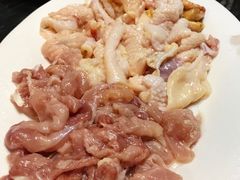 -金砂阿洲鱼册店