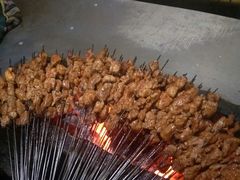烤羊肉串-炕锅羊肉土火锅面片大王