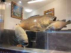 -齐海鱼圣深海石斑鱼火锅店(极地海洋世界店)