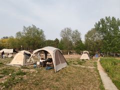 -绿堤公园