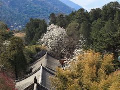 -潭柘寺景区
