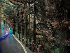 -南岳衡山风景名胜区