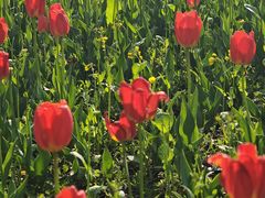 -长春公园(普阳街道)