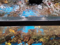 -盒马鲜生(曜一城店)