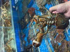 水产区-船奇蒸汽海鲜·闽菜(八市海鲜总店)