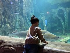 -华夏文旅海洋公园