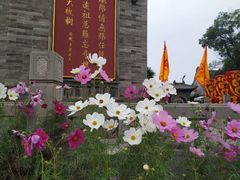 -大槐树寻根祭祖园