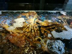 -蟹之国·精品蟹料理(极地店)