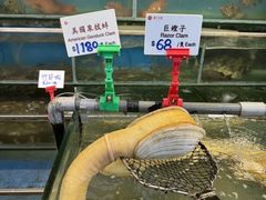 -南丫岛