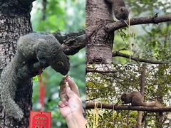 -崇圣寺三塔文化旅游区