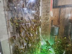 -昆虫窝子·特色云南菜(拓东路总店)