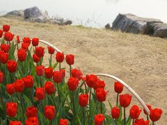 -玄武湖景区-情侣园游乐场