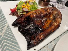 -一棵树·意大利西餐厅One Tree(新城店)
