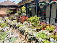 -山菌美食苑(振兴路店)