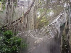 -青青世界