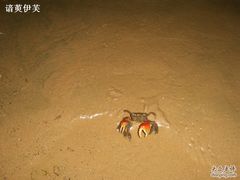 -日照海滨国家森林公园