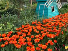 -南宫五洲植物乐园