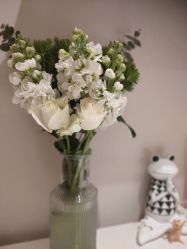 -Oasis Beauty水磨坊科技美肤中心