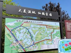 -盐城丹顶鹤湿地生态旅游区