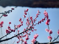 -尚湖风景区