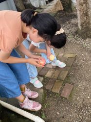-哈玛匠果园