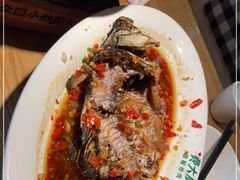 -费大厨辣椒炒肉(吉联MALL店)
