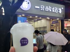 -一只酸奶牛(八一路店)