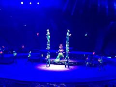 -珠海横琴长隆《卡卡虎奇遇记》