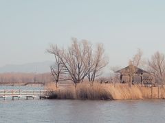 -野鸭湖国家湿地公园