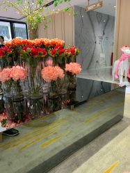-广东韩妃整形外科医院