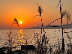 -上海市保健医疗中心