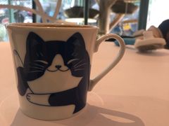 -喵屿·大理花园猫咖