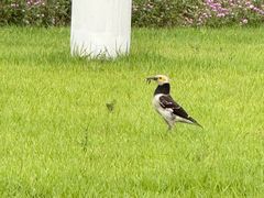 -海心沙亚运公园