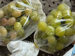 -马陆小张葡萄园农家乐