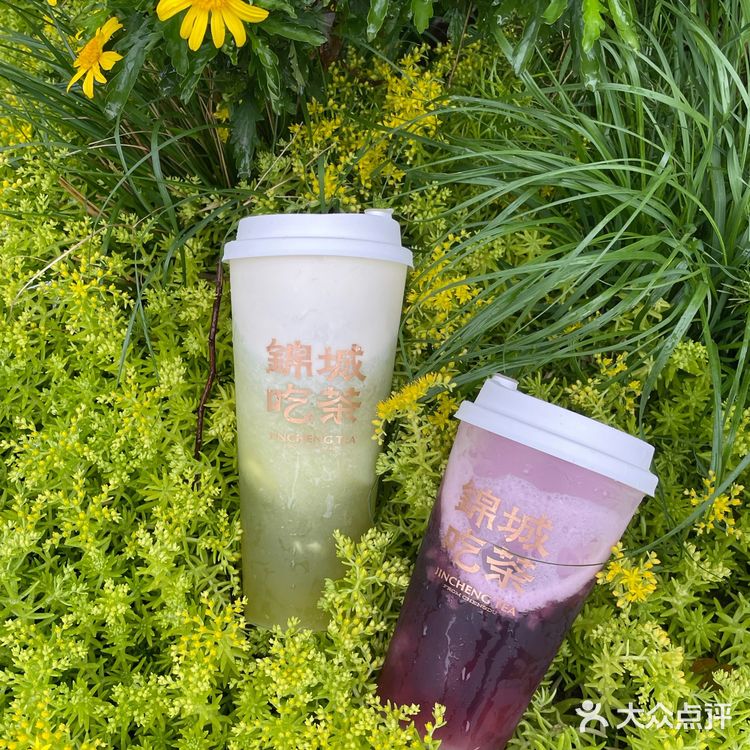 锦城吃茶的春日新品,我不允许你们没喝过!