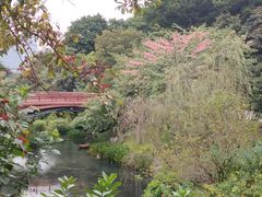 -云溪植物园