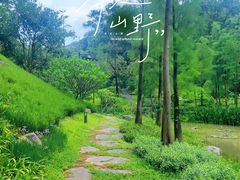-云溪植物园