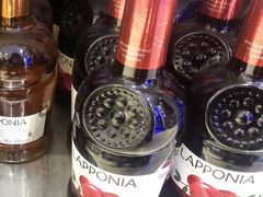 -谢列梅捷沃国际机场