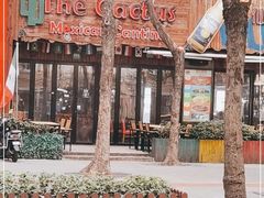 -Cactus墨西哥仙人掌餐厅