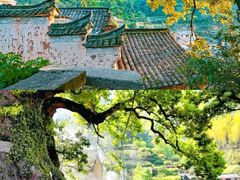-杨家堂村