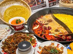 -朱光玉火锅馆(正弘城店)