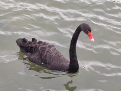 -五缘湾湿地公园