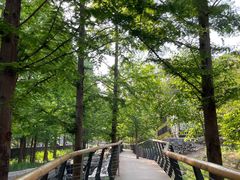 -白水寺森林公园