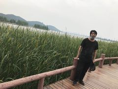 -东湖落雁景区