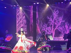 -金东尼人妖秀