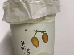 成川黄皮酸奶昔-成川茶店·潮汕工夫浓茶(万象店)