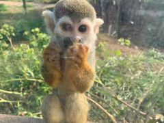 -石家庄市动物园