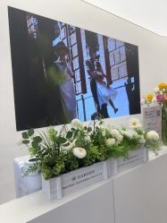 -小阿福儿童摄影(摩尔城店)